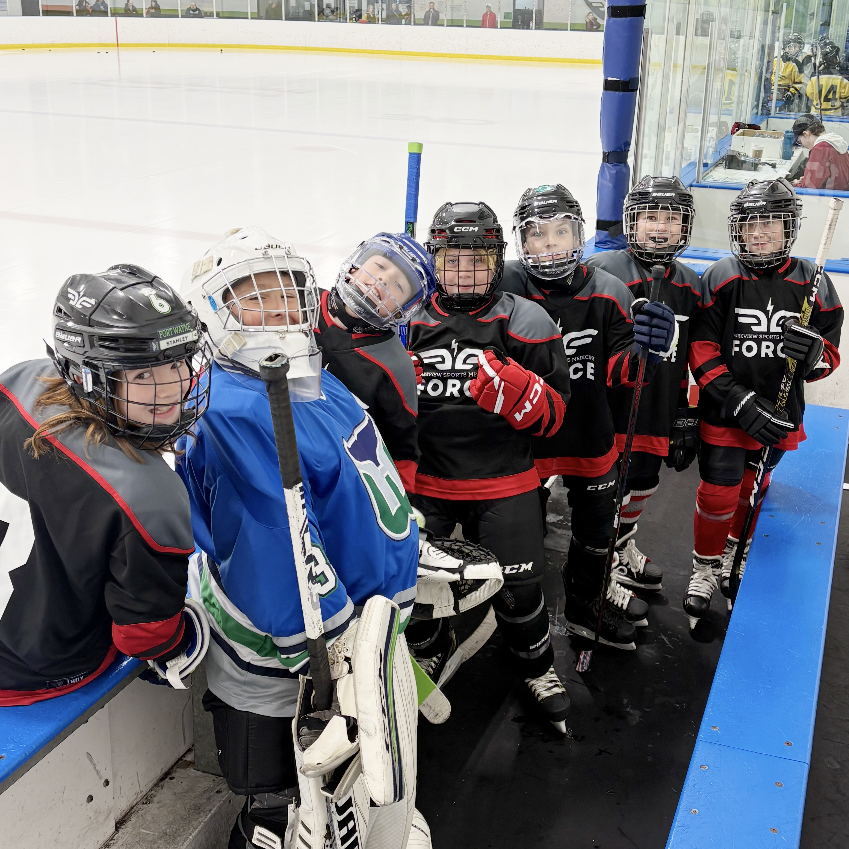 PSM Icehouse House Hockey