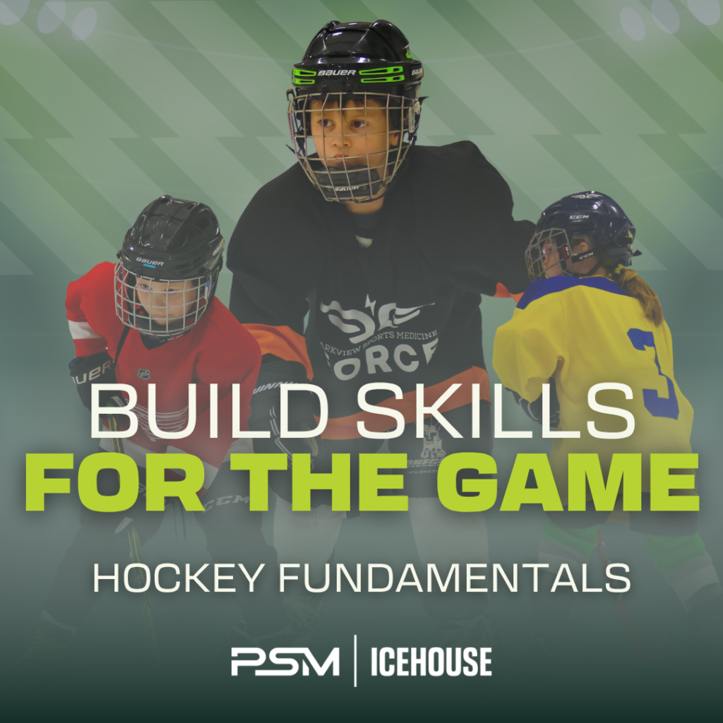 Psm Ice House Hockey Fundamentals