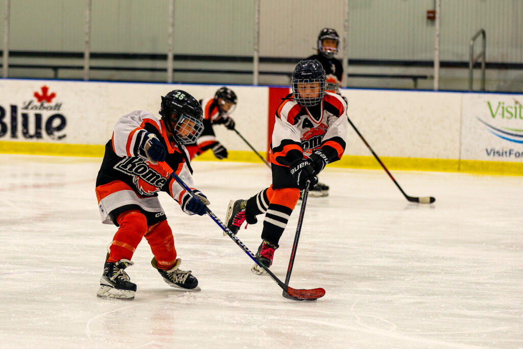 PSM Icehouse Core Skills Camp